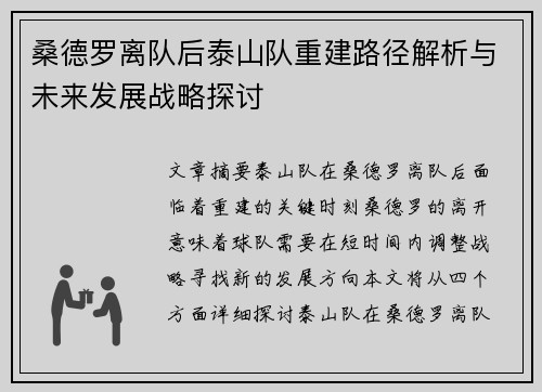 桑德罗离队后泰山队重建路径解析与未来发展战略探讨