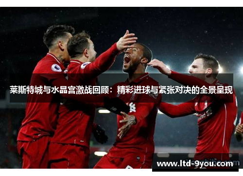 莱斯特城与水晶宫激战回顾：精彩进球与紧张对决的全景呈现